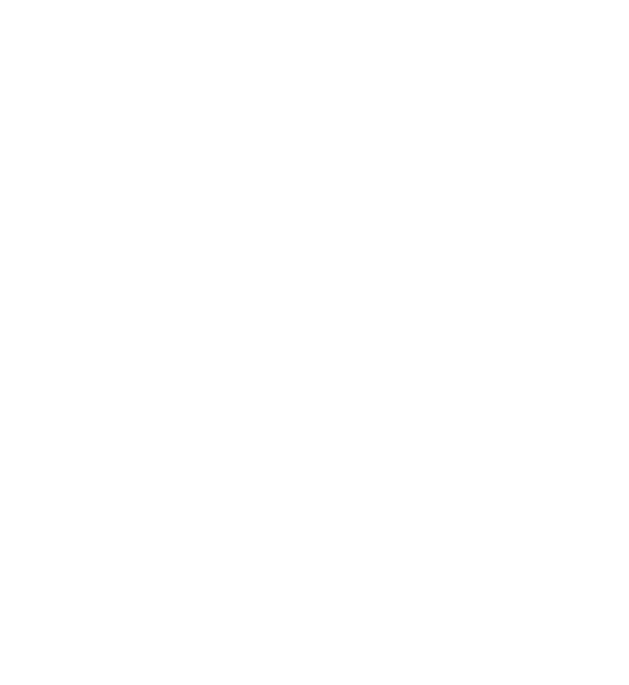 VIS Academy